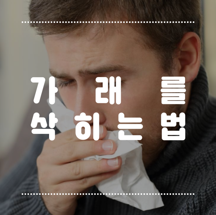  가래 삭히는법 시원하다