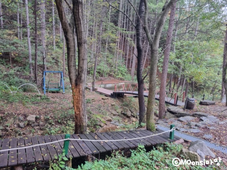 하늘그린캠프, 숲속의 9