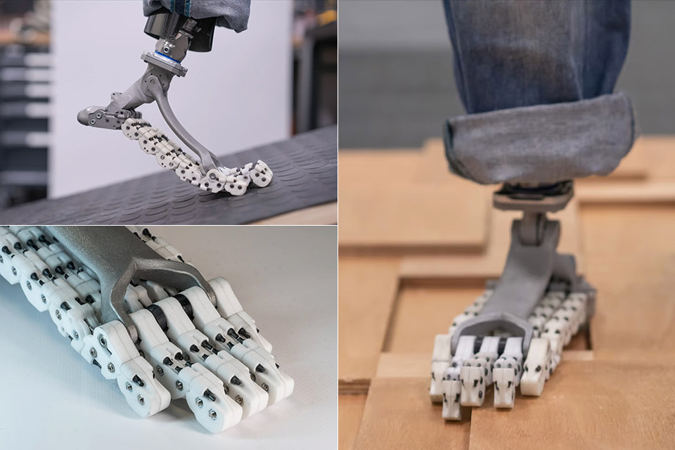softfoot-pro-prosthetic-foot-human-bones.jpg
