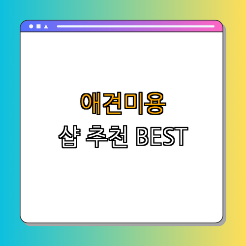 경상북도 경주시 애견미용 잘하는 곳 BEST4 ｜ 미용샵 추천 ｜ 애견 미용 비용 비교 ｜ 후기 확인 ｜ 인기 샵 소개 ｜ 총정리