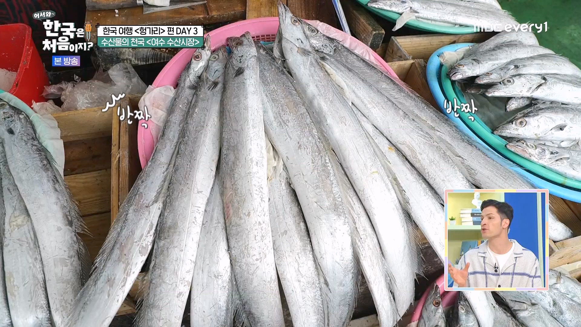 어서와 한국은 처음이지.E318.240613p.WANNA.mp4_20240615_163921.264.jpg