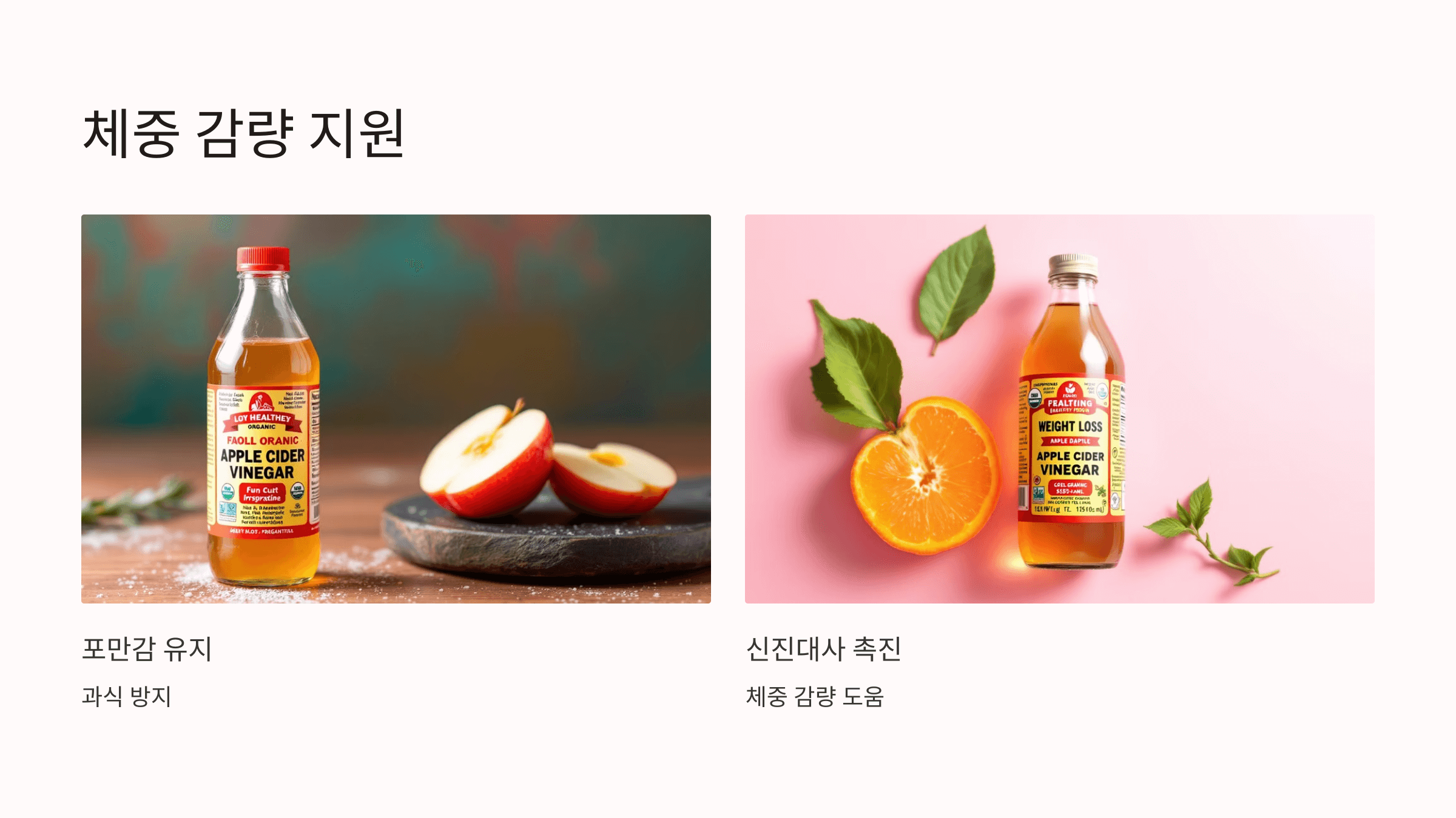 애사비 사진입니다.
