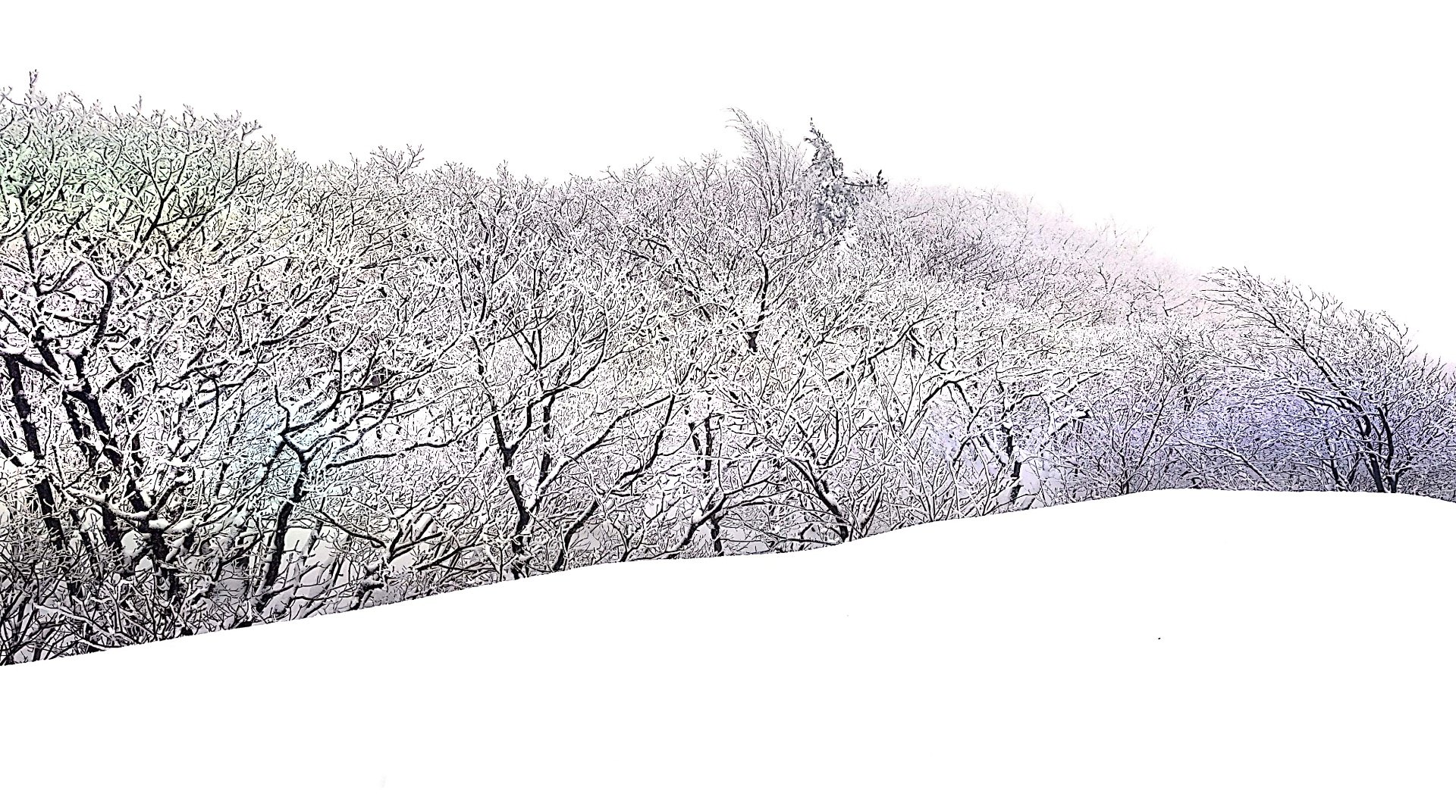 울산 가지산 설경