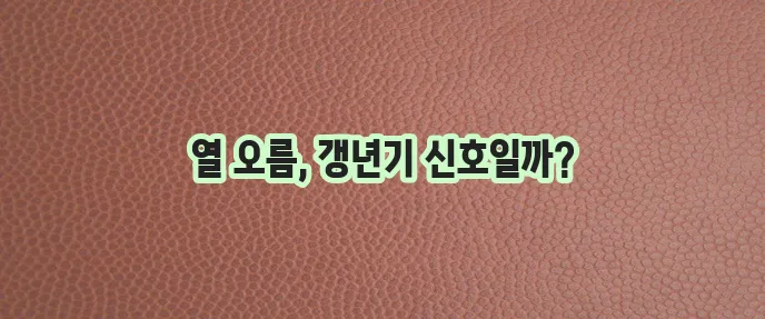 갱년기 열 오르는 증상 원인과 내리는 방법 꼭 알아야 합니다