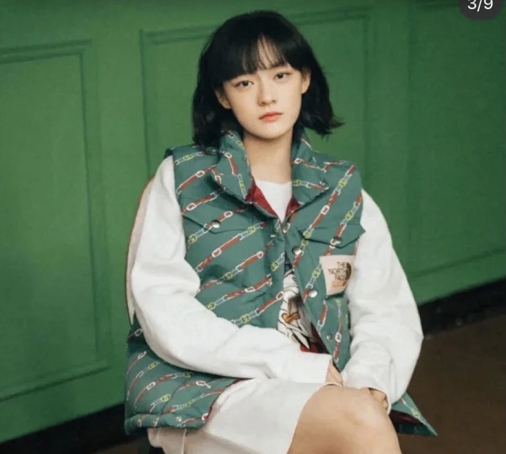  [GUCCI x THE NORTH FACE] 구찌 X 노스페이스 다운 패딩 조끼 베스트 (2 COLOR)
