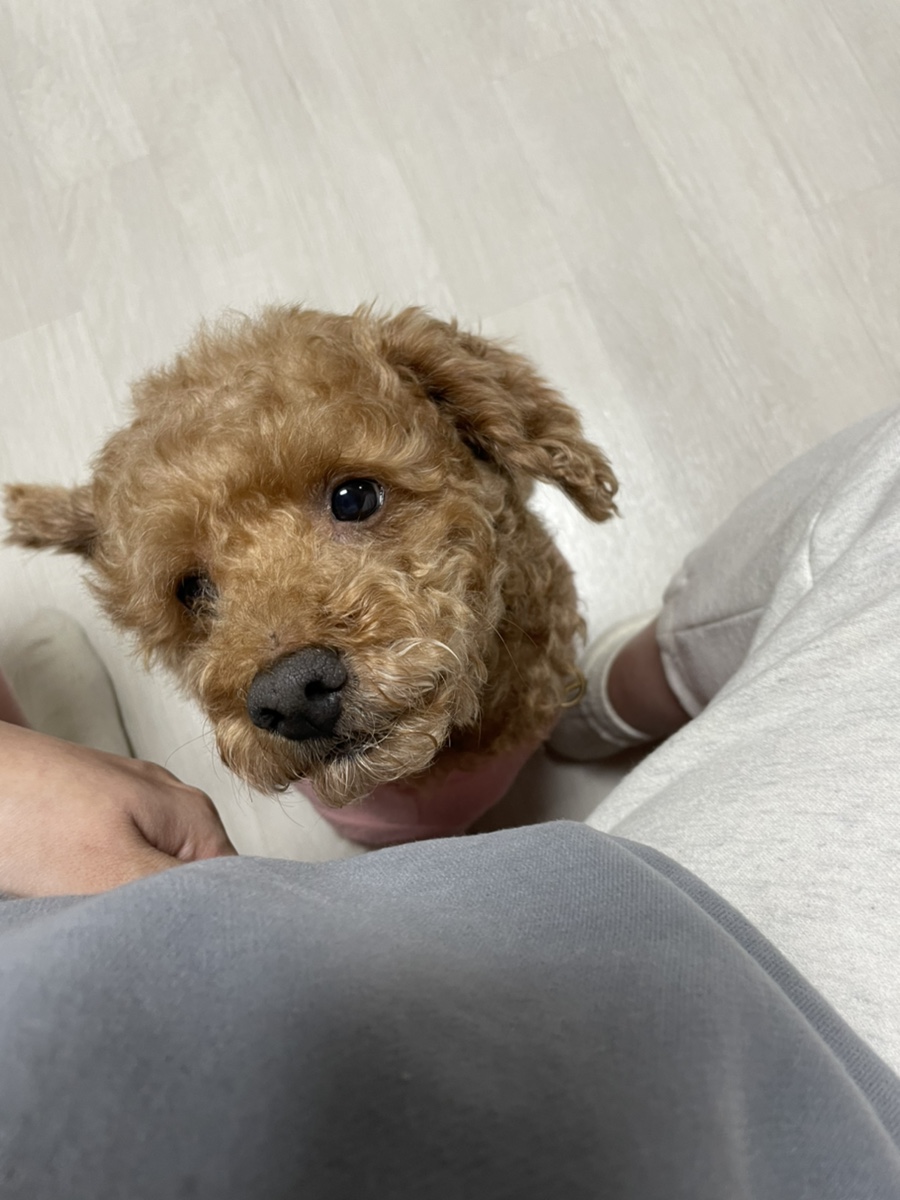 리얼로또 미소래병원 제왕절개리얼후기 및 17