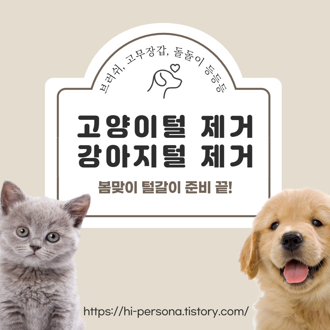  고양이털 제거, 강아지털 제거 용품
