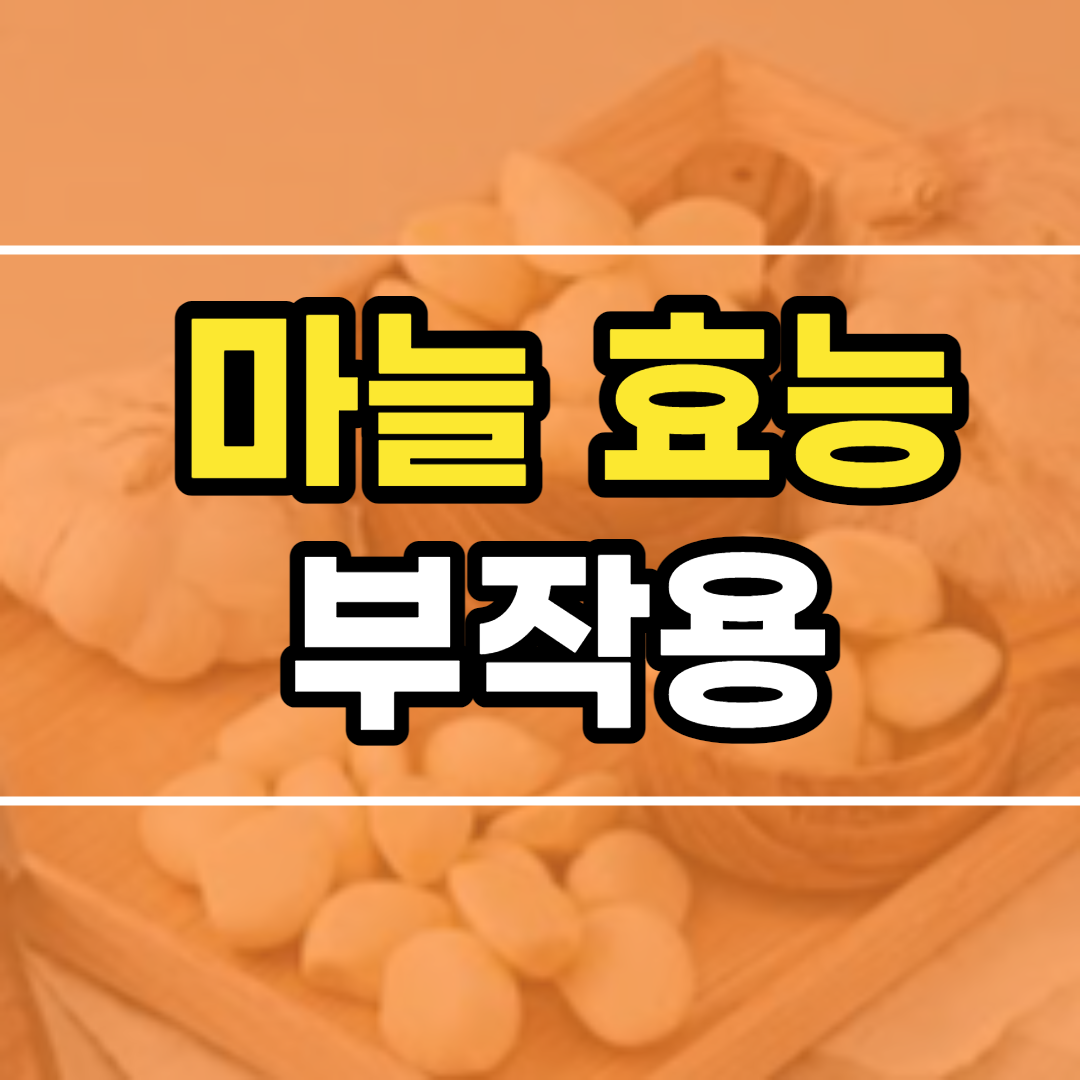  마늘 효능 10가지 및 부작용