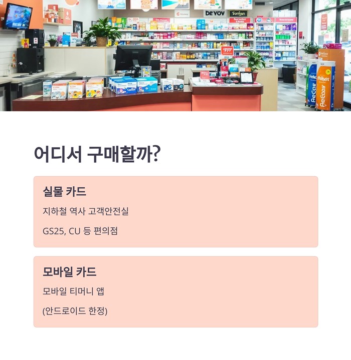 기후동행카드 판매처 충전 사용법 구간 청년할인 요약 이미지