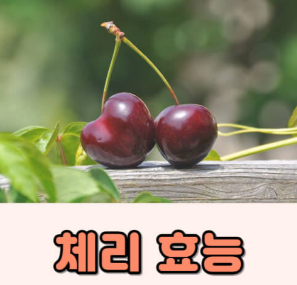 체리 효능 부작용