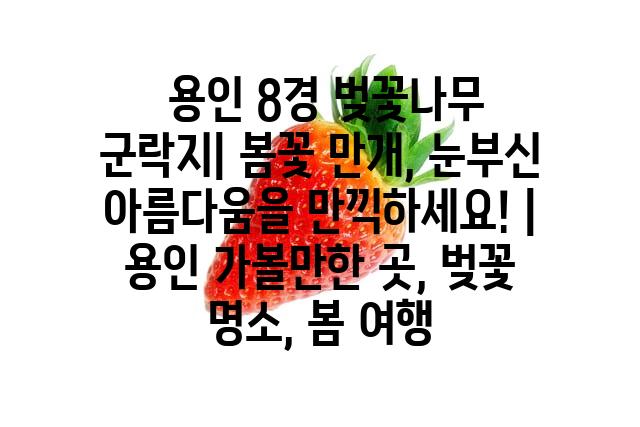 랜덤216