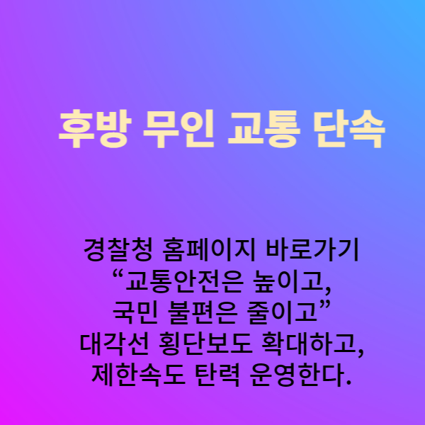 후면 무인 교통 단속