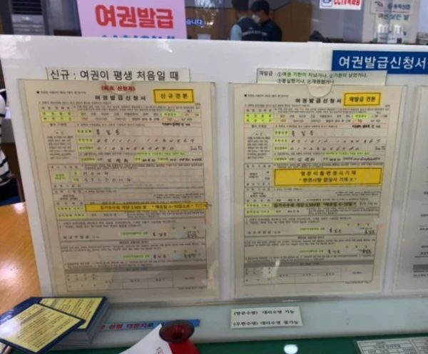 여권접수
