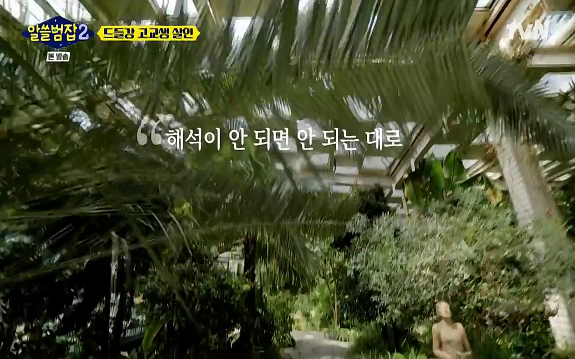 알쓸범잡 2.E15.220425p-NEXT.mp4_20220425_190652.007.jpg