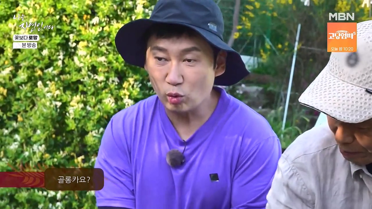 나는 자연인이다.E608.240606p-NEXT.mp4_20240606_162939.858.jpg