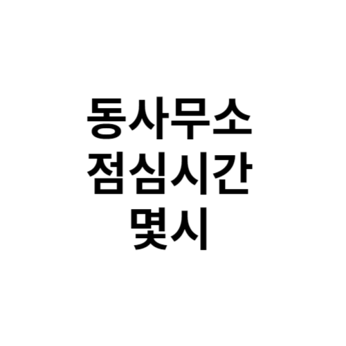 동사무소 점심시간 몇시?