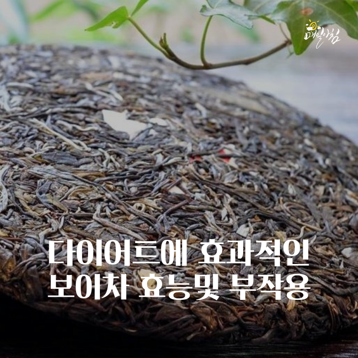  다이어트에 효과적인 보이차, 부작용이 많다??