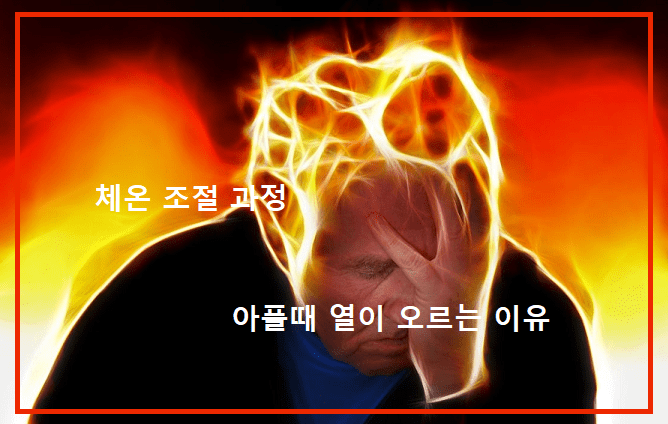 체온 조절 과정. 아플 때 열이 오르는 이유.