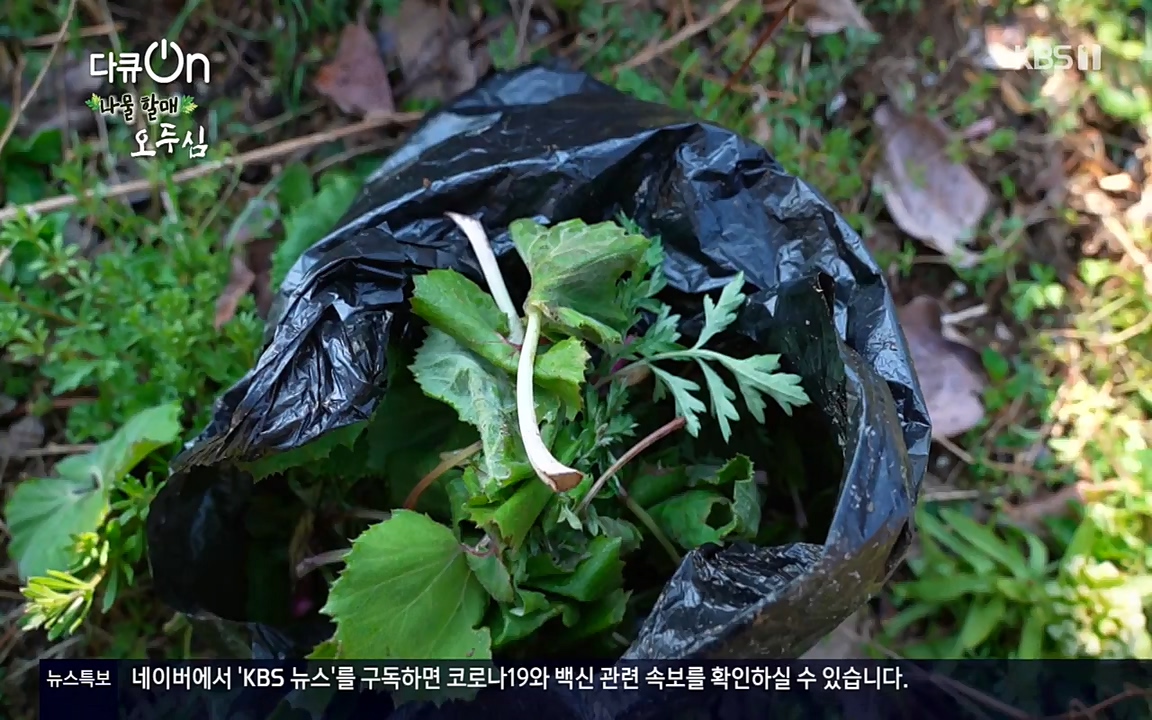 다큐 온.E138.220507p-NEXT.mp4_20220507_183348.997.jpg