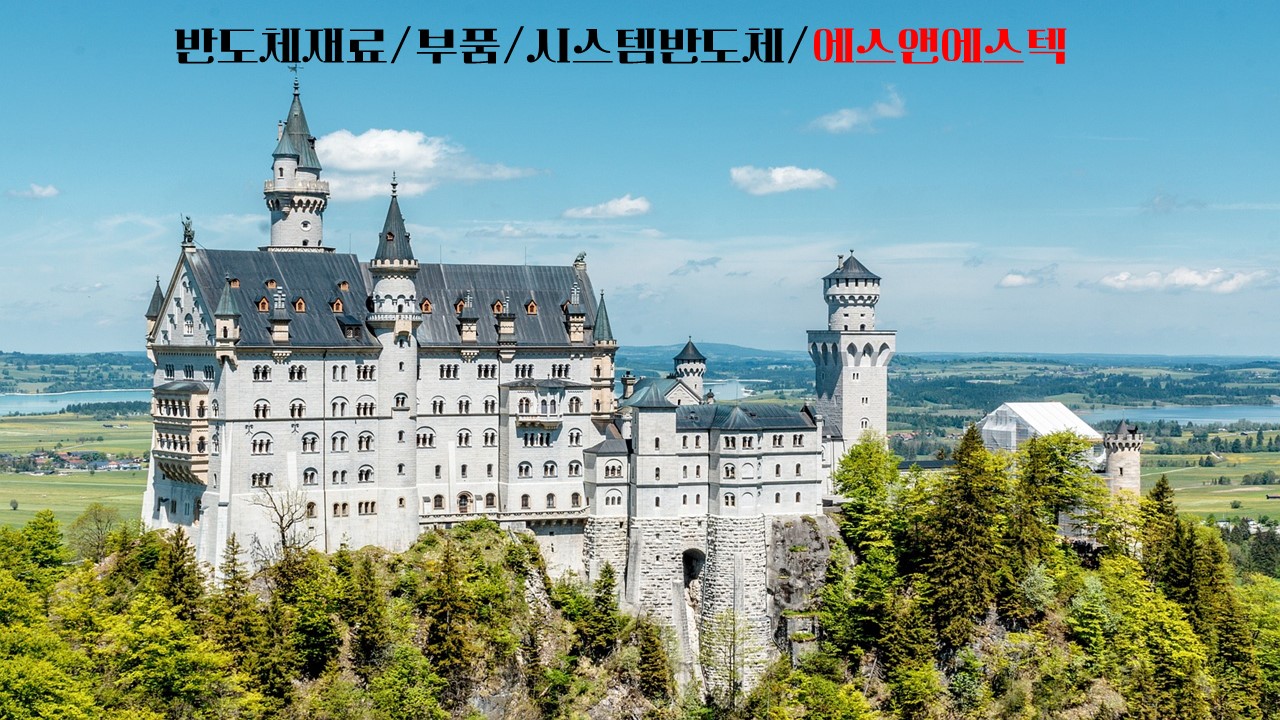  반도체재료/부품/시스템반도체/에스앤에스텍