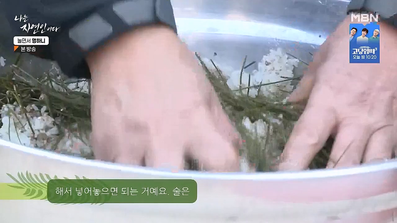 나는 자연인이다.E538.230126p-NEXT.mp4_20230126_194022.570.jpg