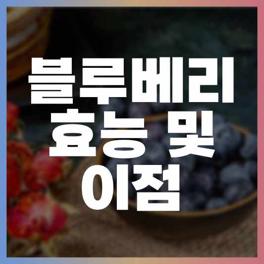  블루베리의 효능과 이점