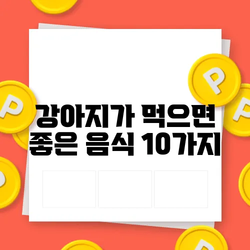 강아지가 먹으면 좋은 음식 10가지