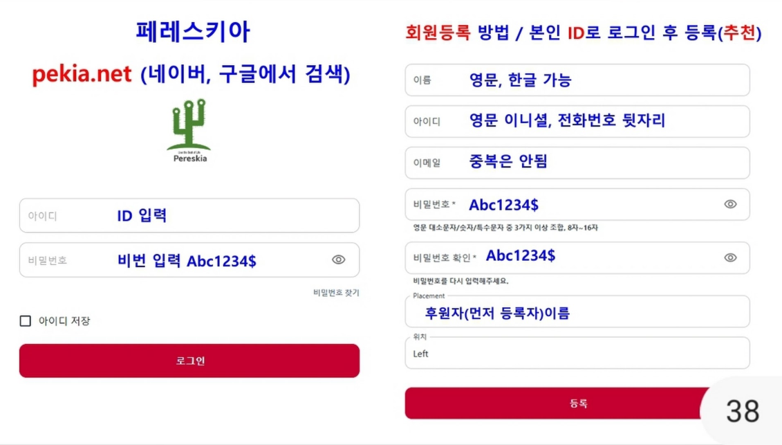 스타링크 이미지