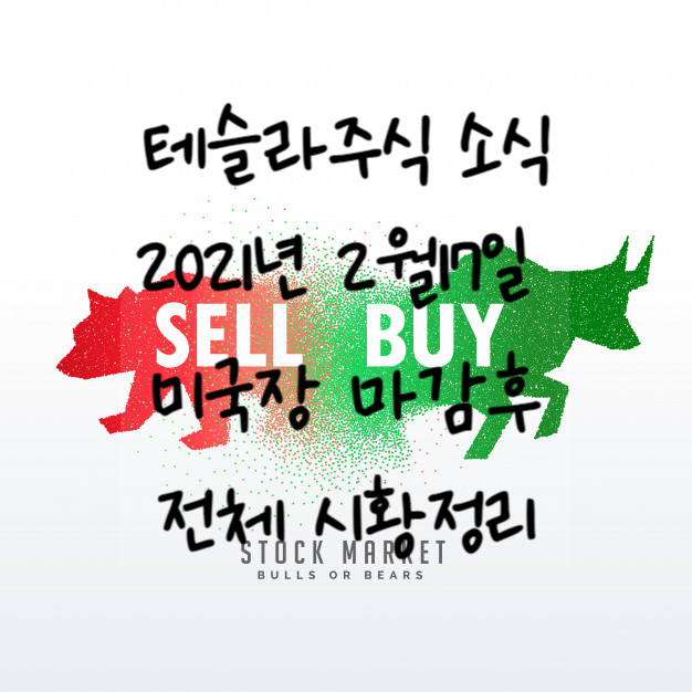  테슬라(Tesla): 2021년 2월 17일 미국장 마감후 시황정리.