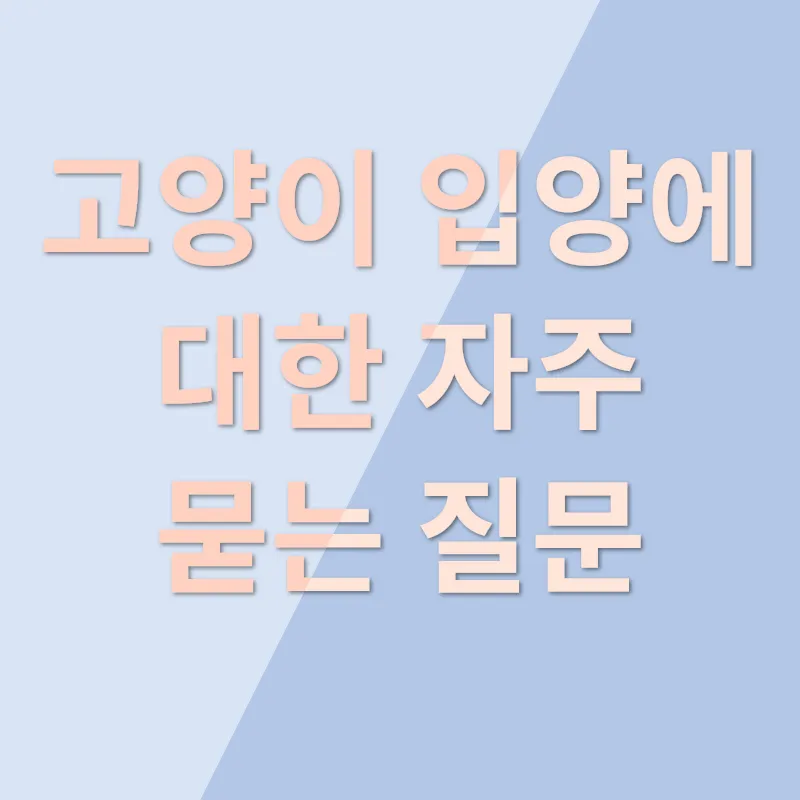 고양이 입양_4