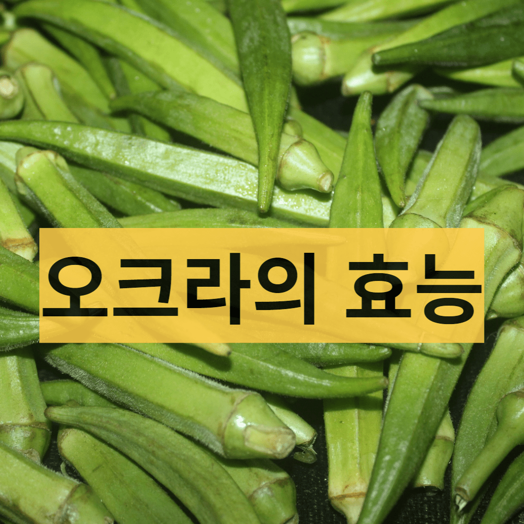  오크라 피클을 만들어 먹어볼까요? 오크라의 효능과 먹는 방법