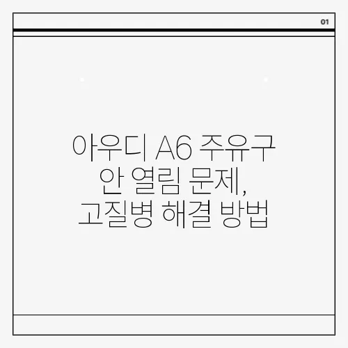 아우디 A6 주유구 안 열림 문제, 고질병 해결 방법