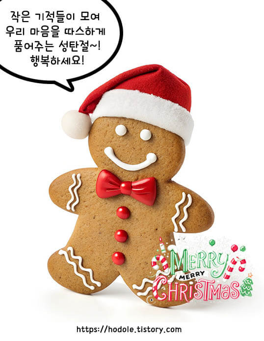 귀여운 쿠기와 함께라면~