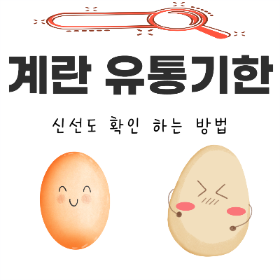 계란 유통 기한 지난 건지 신선도 확인 하는 방법