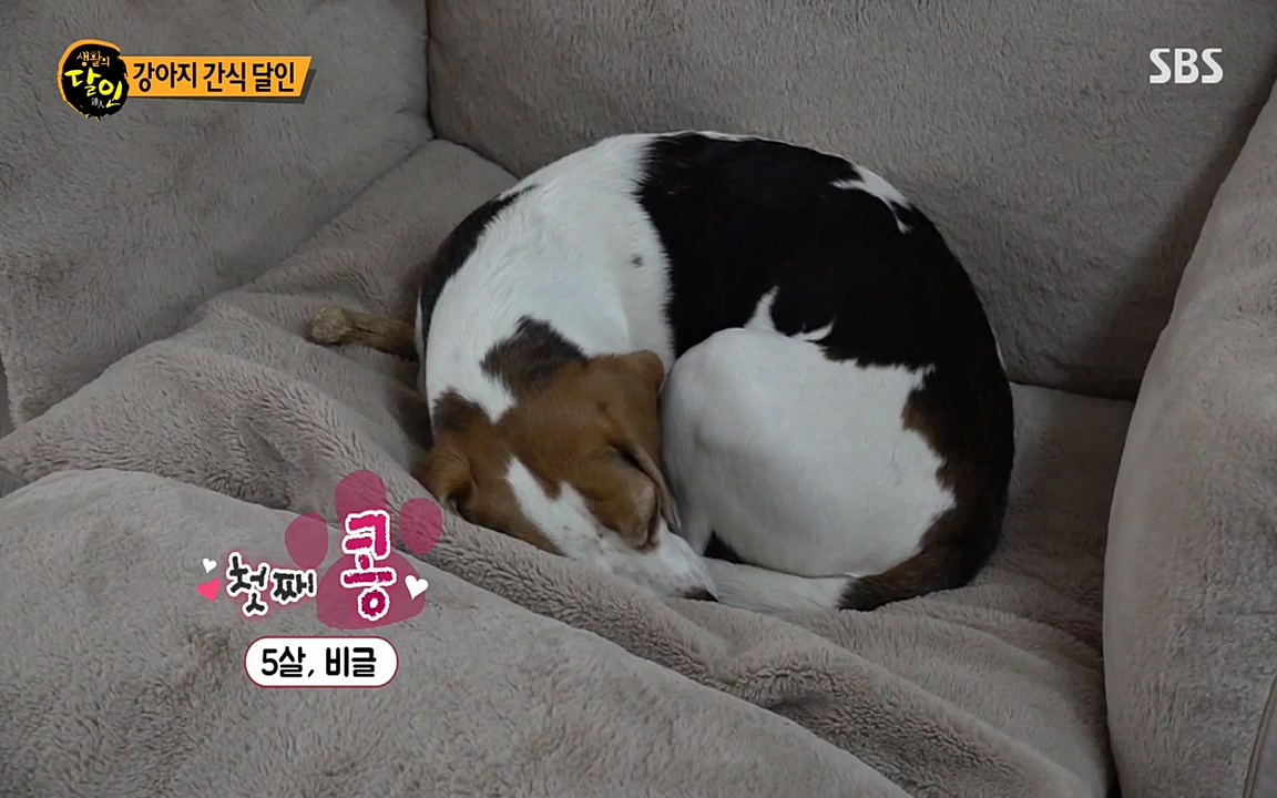 생활의 달인.E848.220621p-NEXT.mp4_20220621_201856.197.jpg