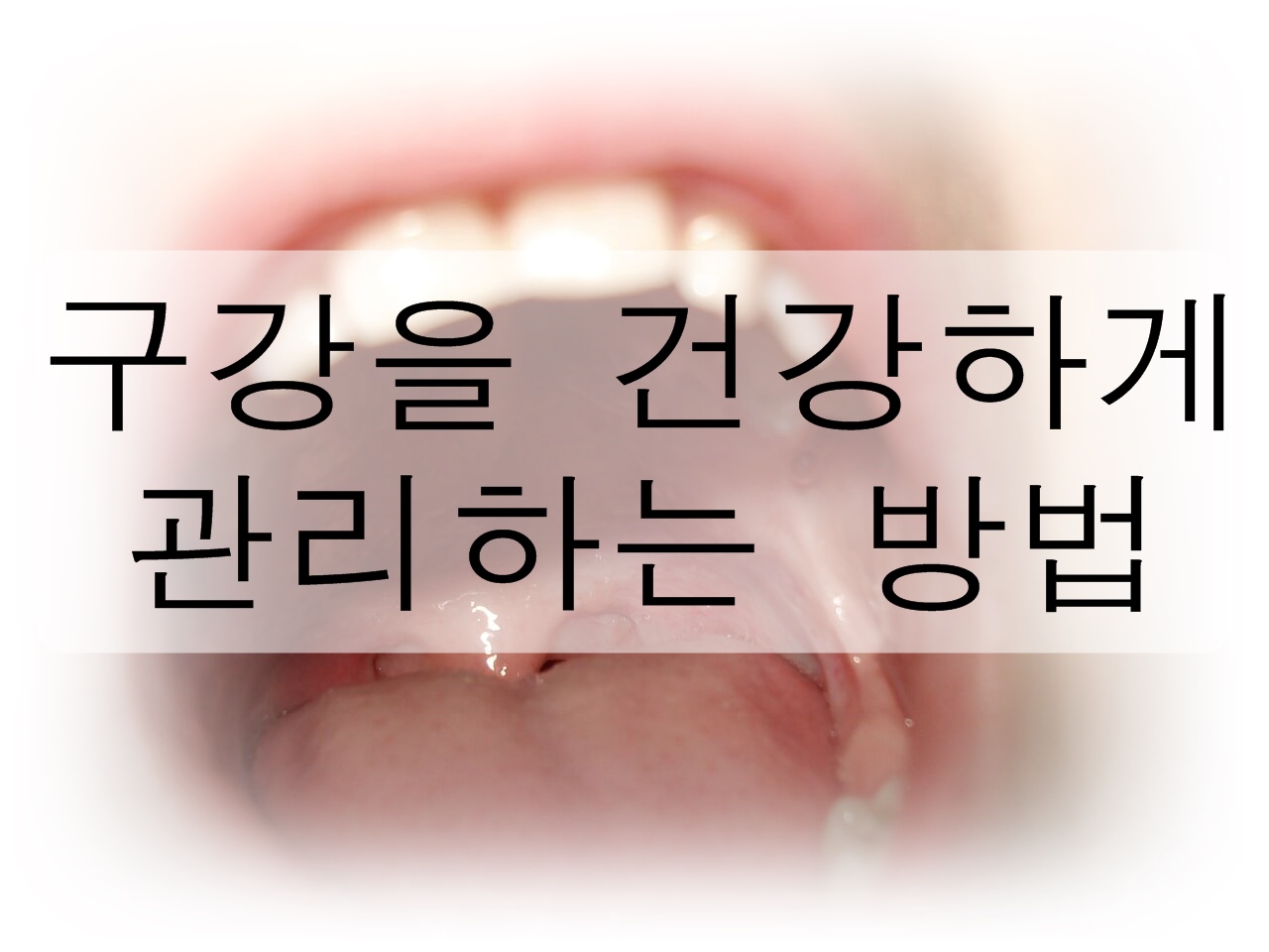  입(구강)을 건강하게 관리하는 방법!