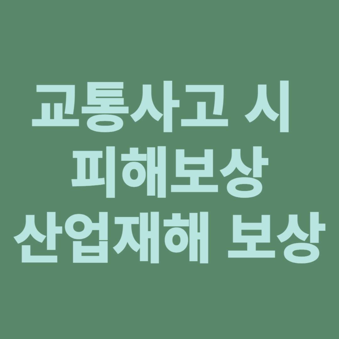 대중교통 부정승차, 대중교통 사고 발생 시 피해보상, 자전거의 인도 통행, 운전 중 휴대전화 사용 금지, 출퇴근 중 교통사고의 산업재해보상