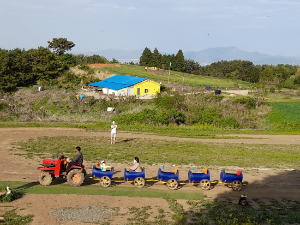 남해양떼목장 양모리학교