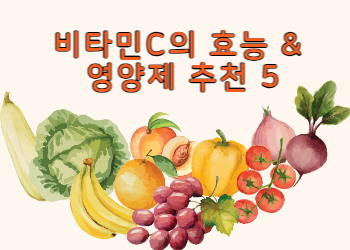 비타민C의 효능과 인기영양제 추천