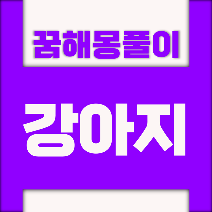  [꿈해몽풀이] 개 꿈해몽 모음
