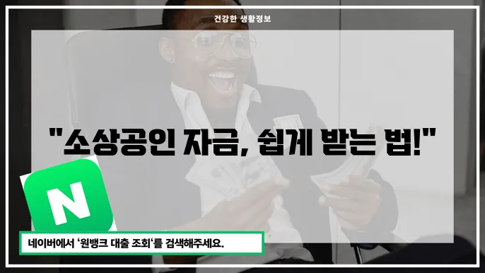 자금 신청 활용 전략