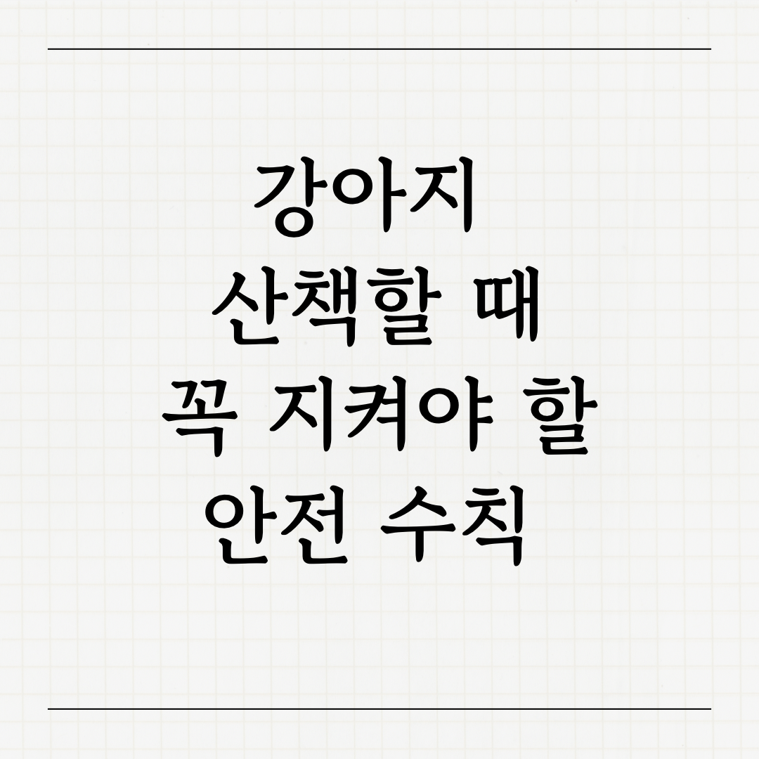 강아지 산책 안전