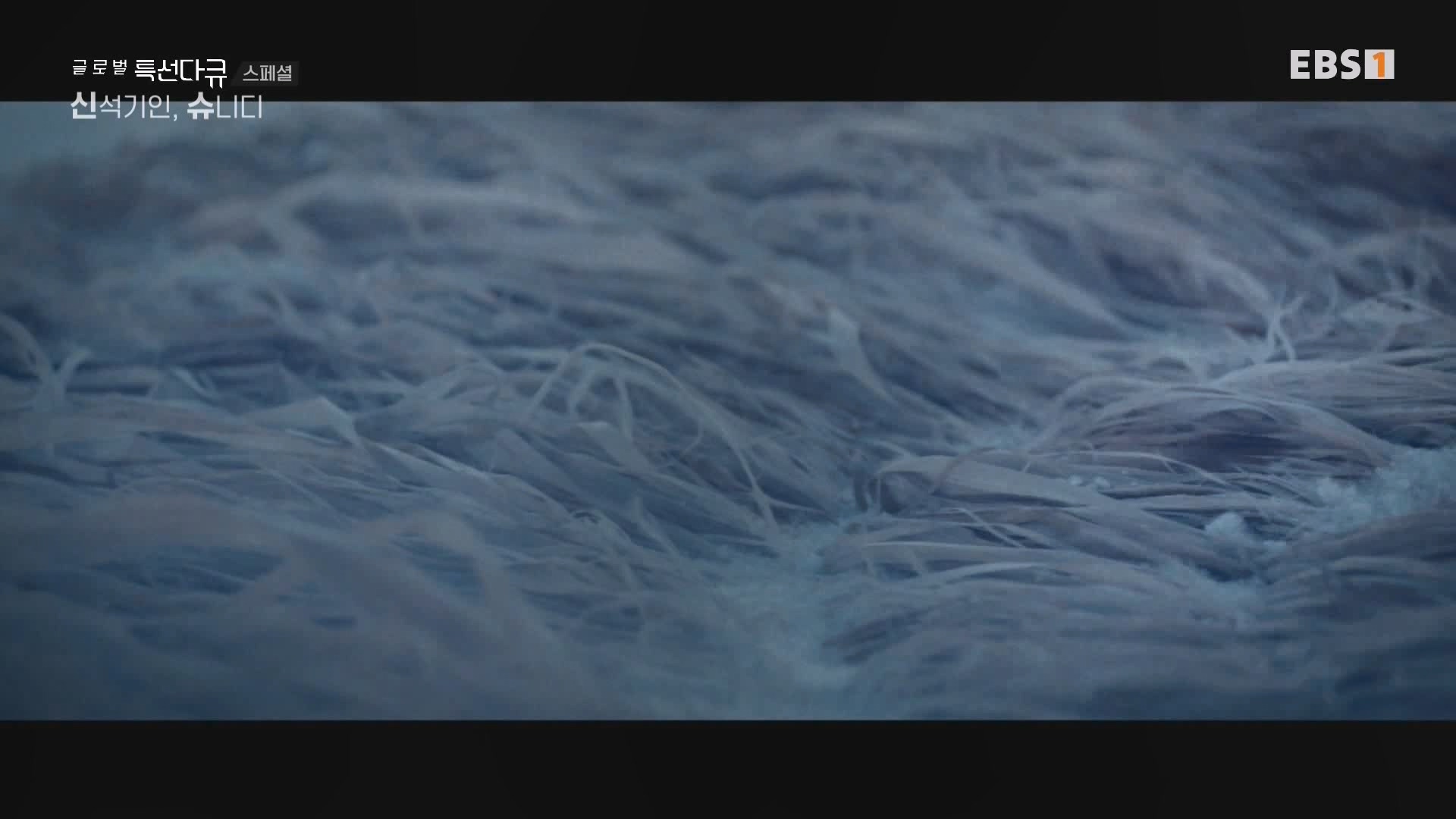 [다큐 스페셜] 신석기인, 슈니디.mp4_20230820_110534.697.jpg