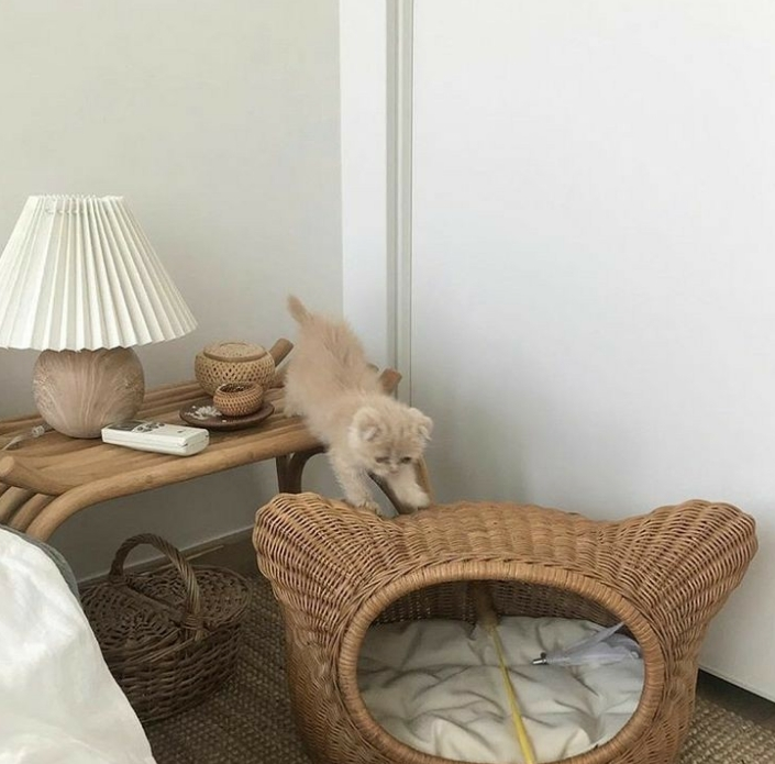  여윽시 인테리어의 완성은