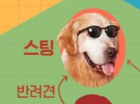 도그데이즈 영화 출연진 등장인물 인물관계도 기본정보 평점