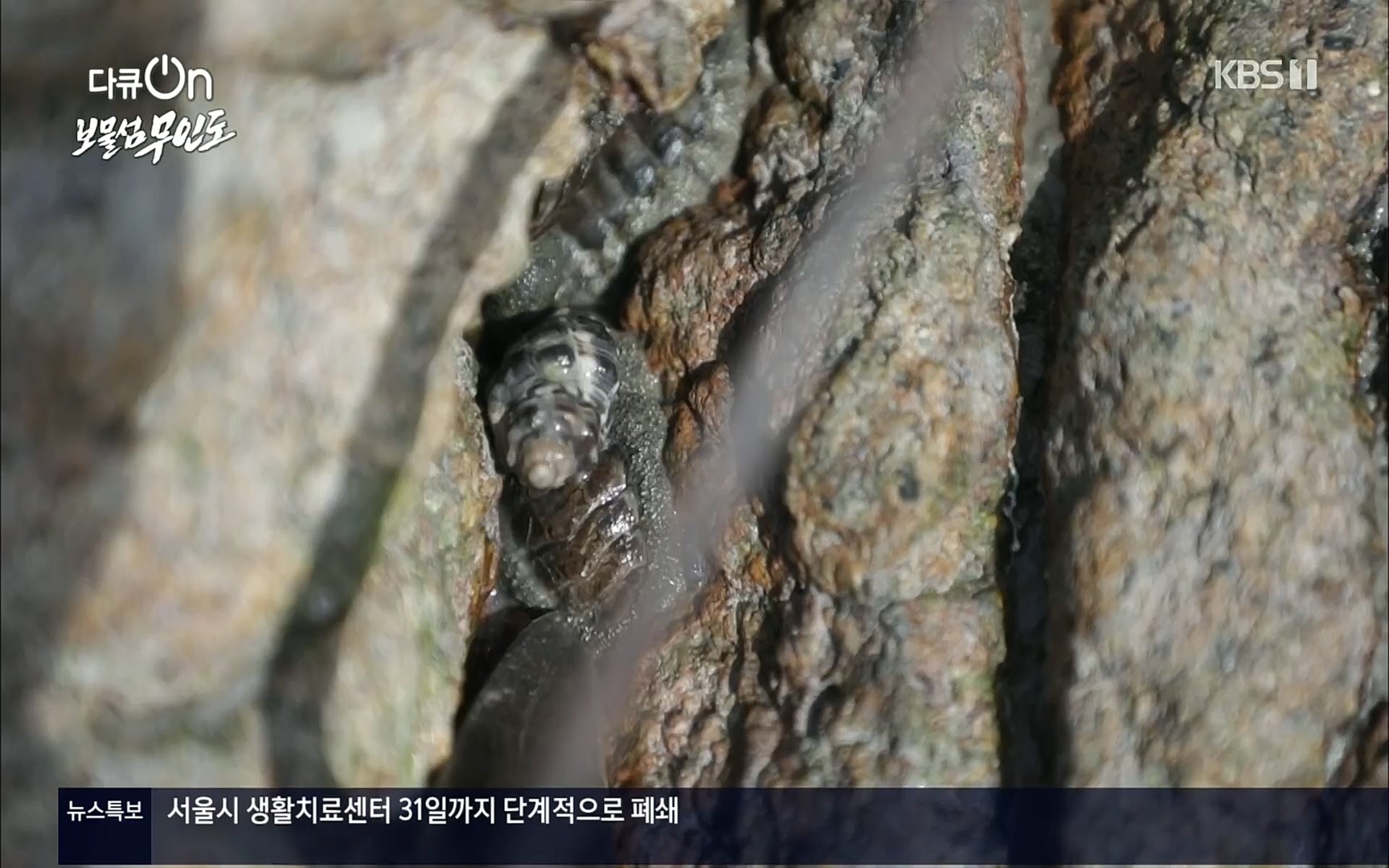 다큐 On.E141p.H264-F1RST.mp4_20220530_202706.322.jpg