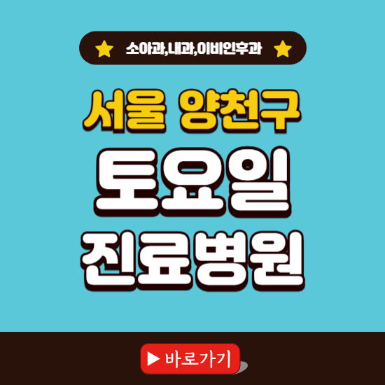서울 양천구 토요일 진료 병원 찾기 ❘ 주말 문여는 소아과, 내과, 이비인후과 리스트