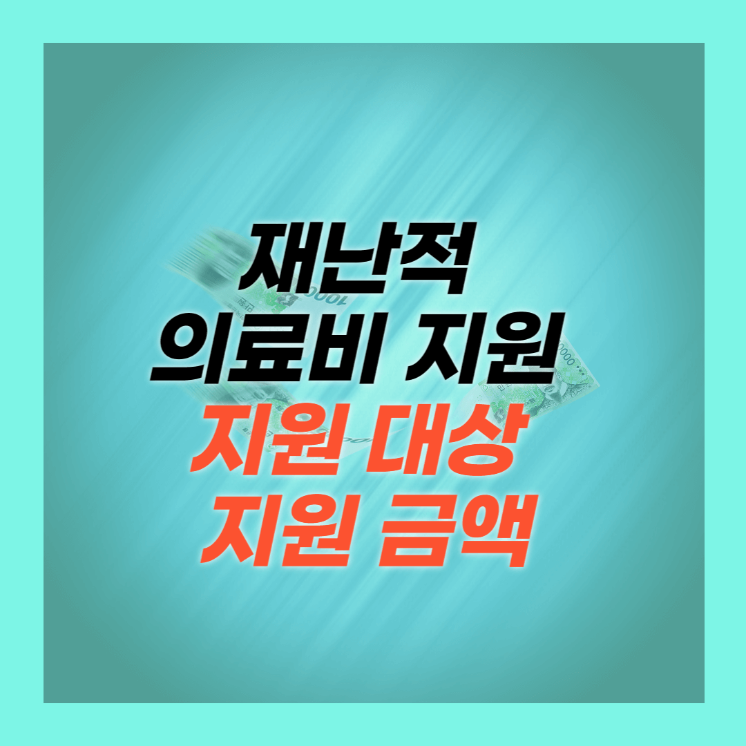 재난적 의료비 지원&#44; 지원 대상&#44; 지원 금액