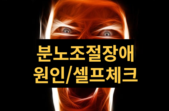  [건강정보] 분노조절장애 원인과 치료법, 자가 테스트 해보기