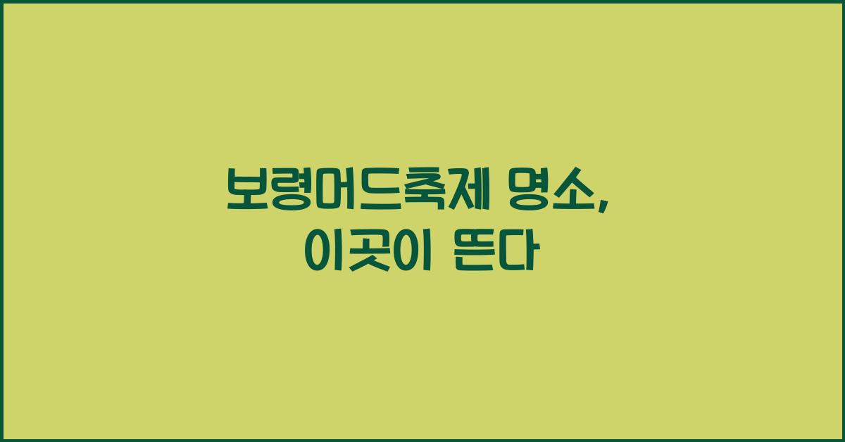 보령머드축제 명소